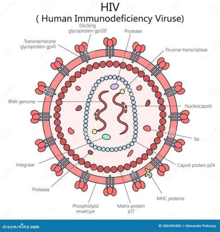 Aids Diagram