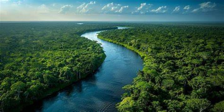 Amazon Rainforest