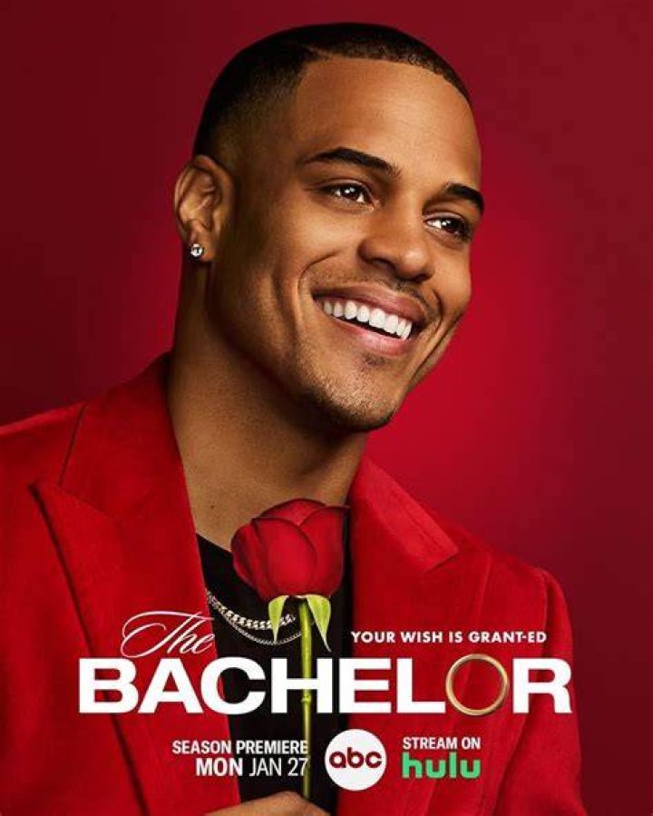 Ashley Bachelor Career & Profession