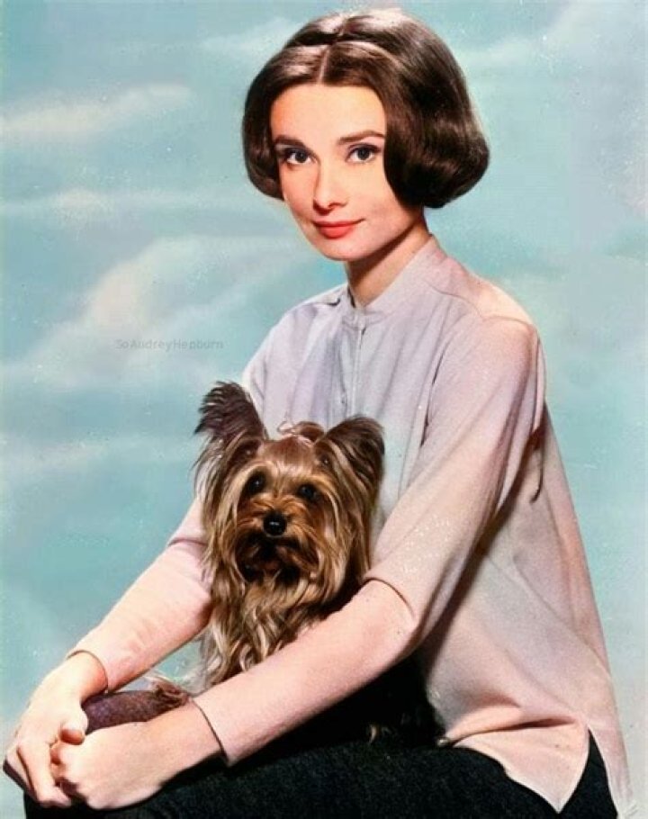 Audrey and her pet dog