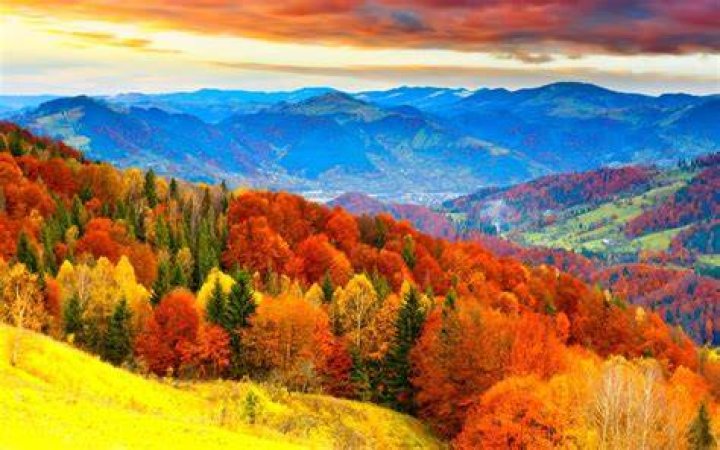Autumn!