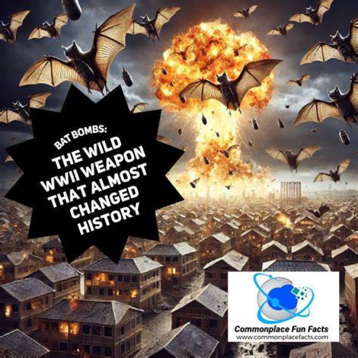 Bat Bombs Interesting History Facts