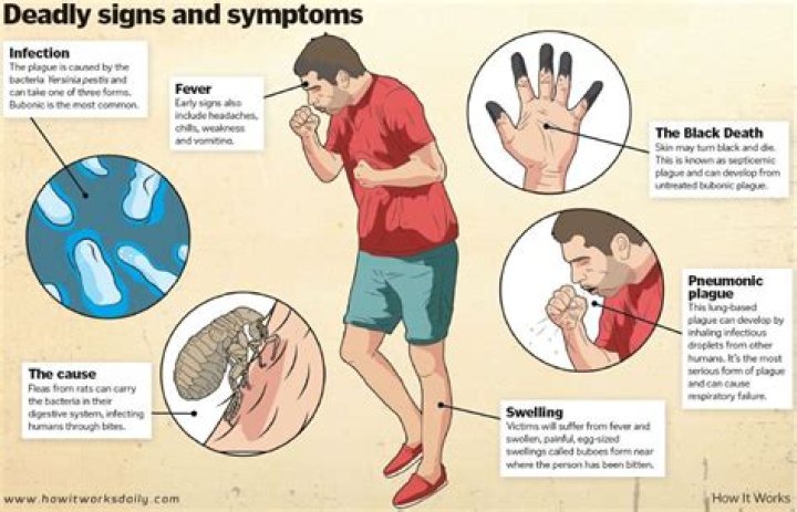 Black Death Symptoms