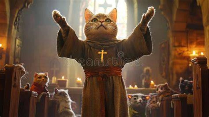 Catholic Church And Cats