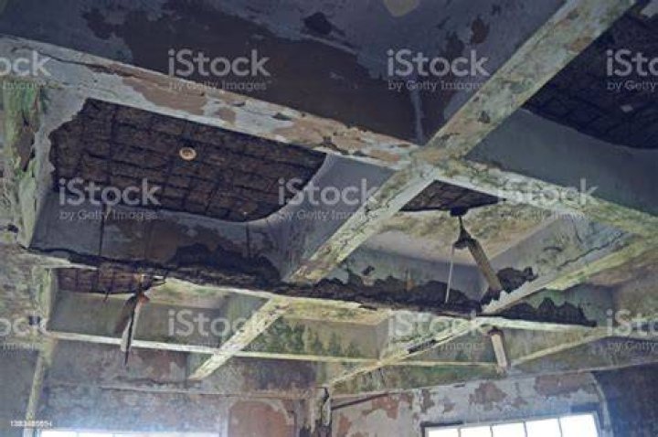Ceiling of Abandoned Structure