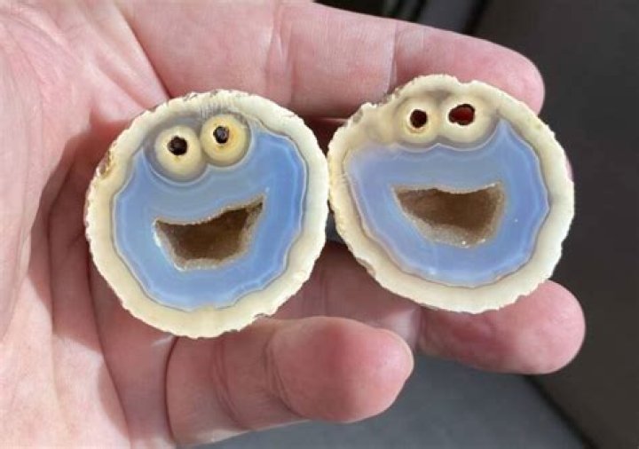 Cookie Monster Rock Exterior