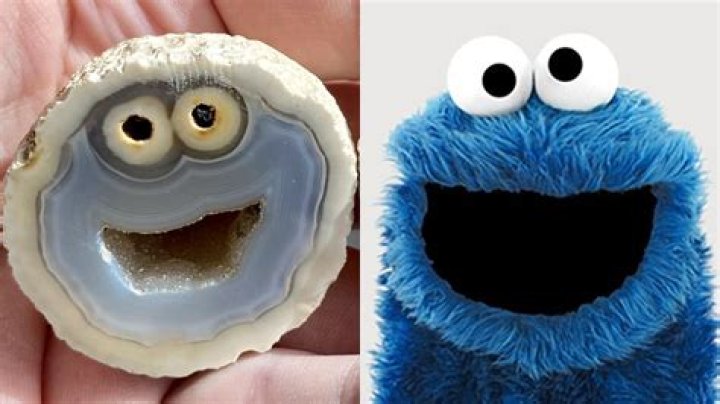 Cookie Monster Rock