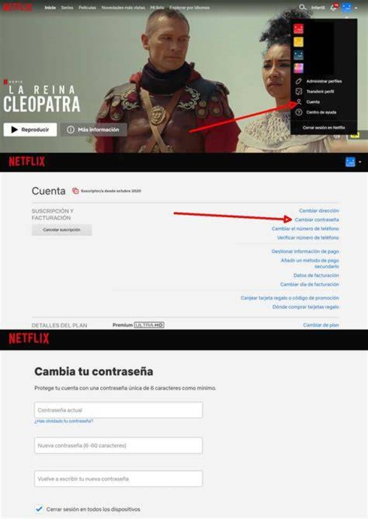 ¿Cómo cambio mi región en Netflix? - Celebrity.fm