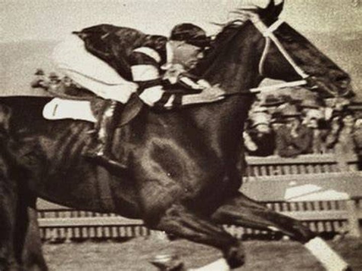 Dead Jockey Wins Race