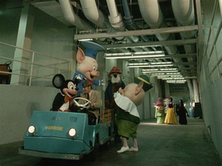 Disney Tunnels