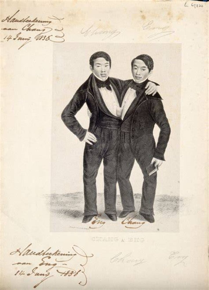 Drawing Of Chang And Eng Bunker