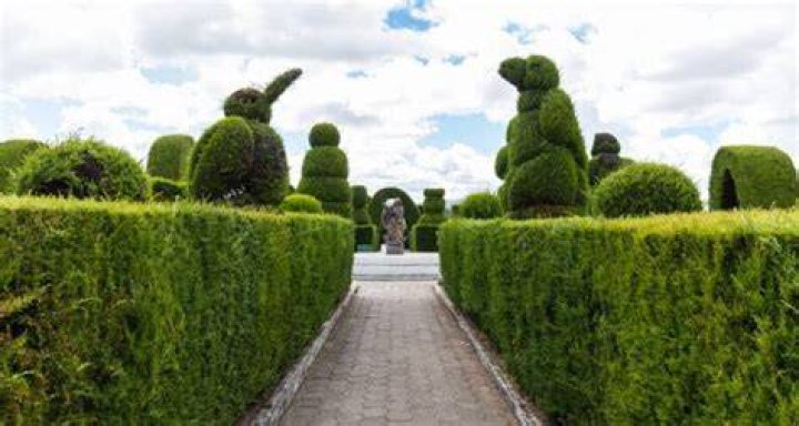 Dueling Topiaries Statue