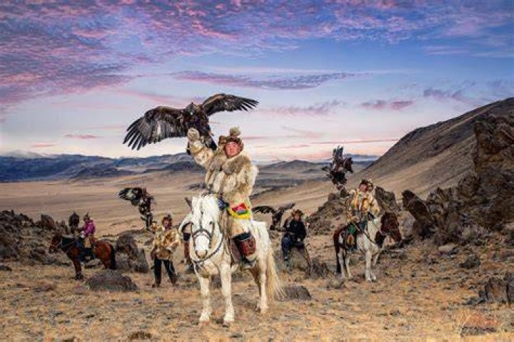 Eagle Hunters At Sunset