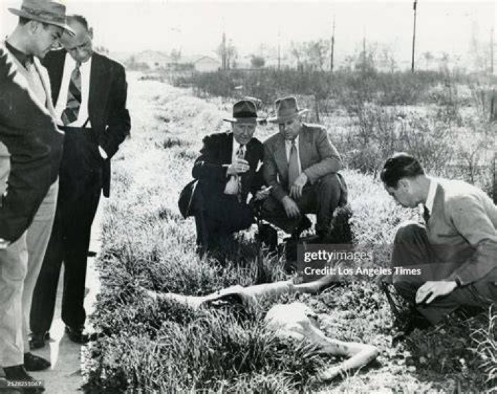 Elizabeth Short Autopsy