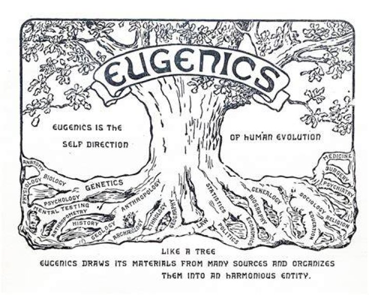 Eugenics Tree Illustration
