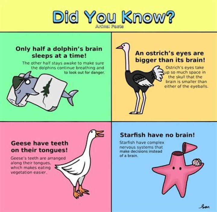 Facts you don't know about Rob Dahm