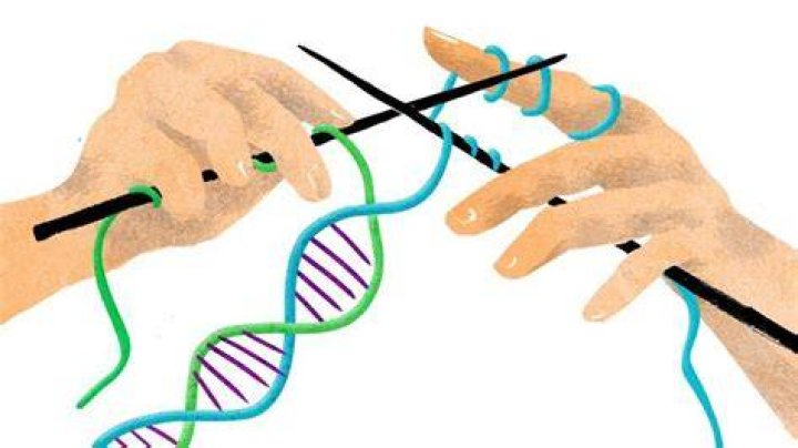 Genetically Modified Humans Dna