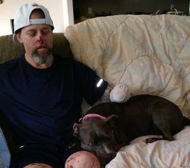 Greg Manteufel Dog