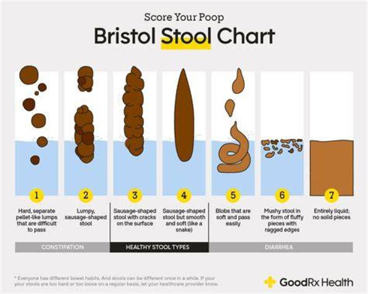 Grooms Of The Stool