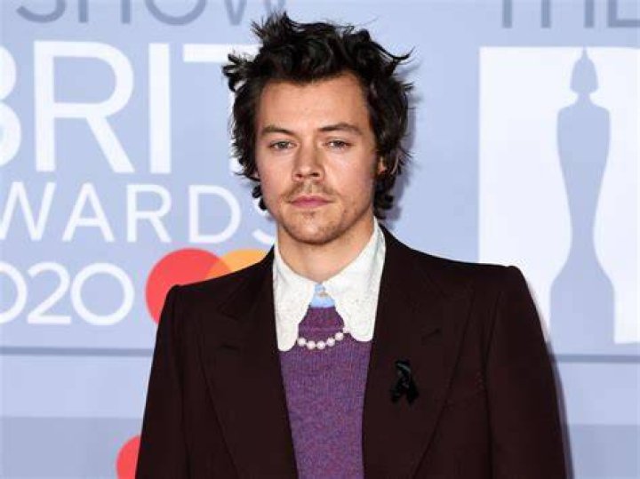 Harry Styles Biography, Age, Height, Wife, Net Worth, Family
