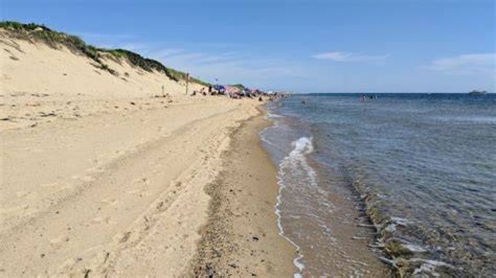 Herring Beach Cove
