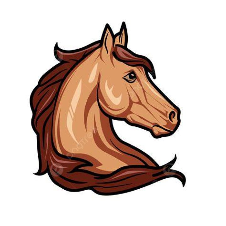 Horse Head