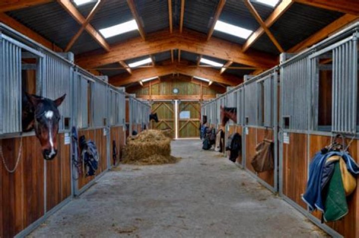 Horse Stable