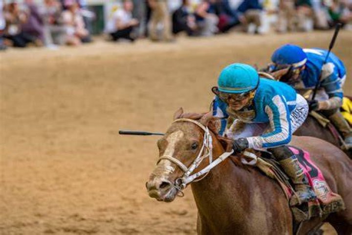 Horses Kentucky Derby