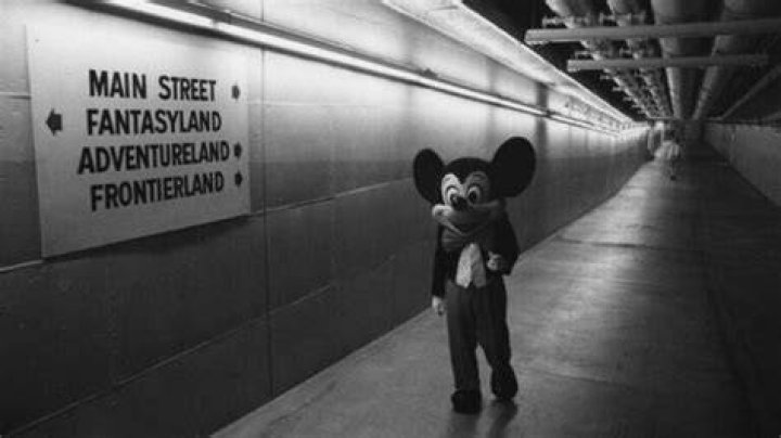 Inside Disney's Underground Tunnels Below The Magic Kingdom
