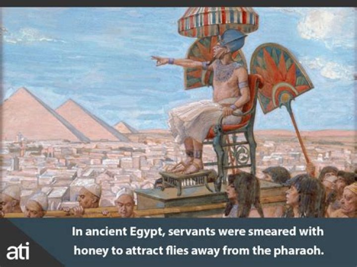 Interesting Facts About History First Fax