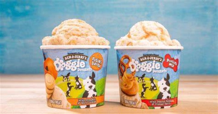 Is Ben and Jerry’s dog ice cream safe for dogs?