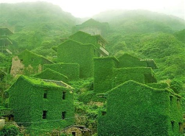 Ivy Covers Abandoned Chinese Village
