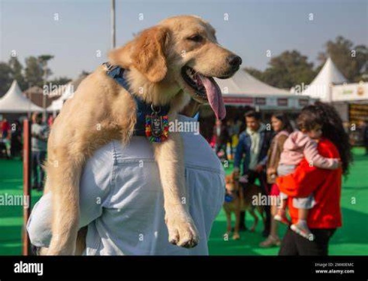 Javed with his pet dog