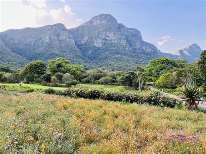 Kirstenbosch Mountain