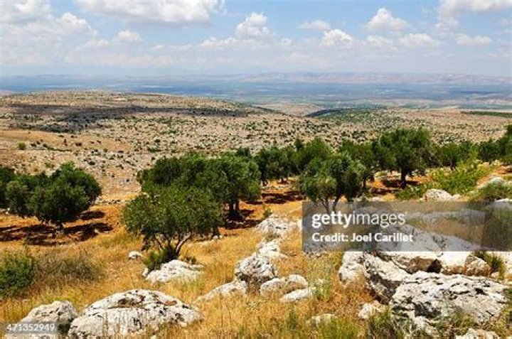 Landscape of Aleppo Syria