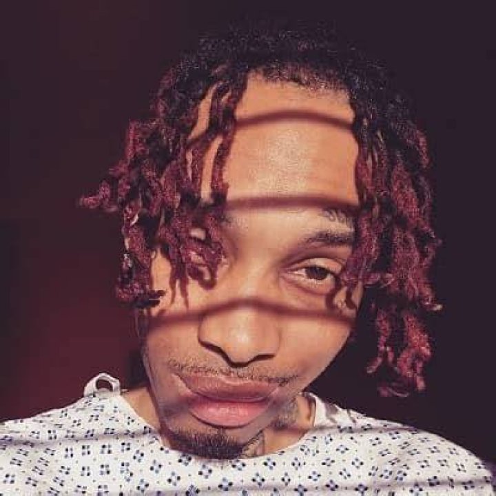 Loza Alexander wiki