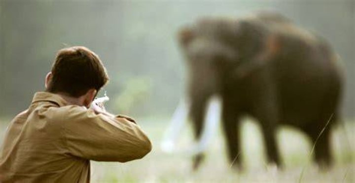 Man Shooting Elephant