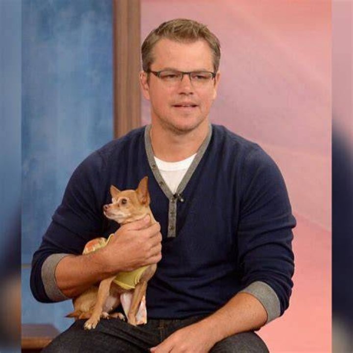 Matt Zion with his cat