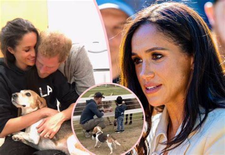Meghan with her pet dog