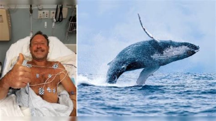Michael Packard After Being Swallowed By Whale
