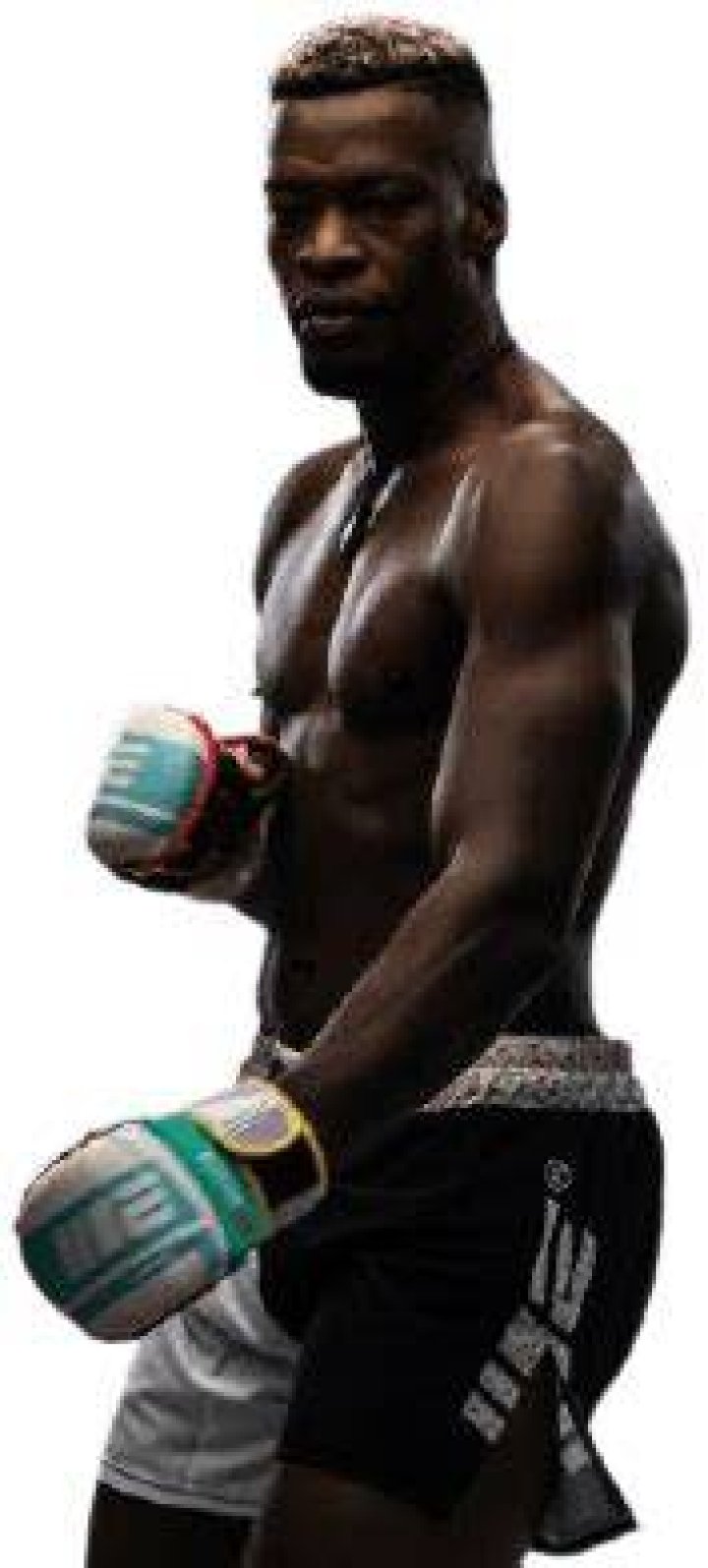 Mike Mathetha Career, Fights & Profession