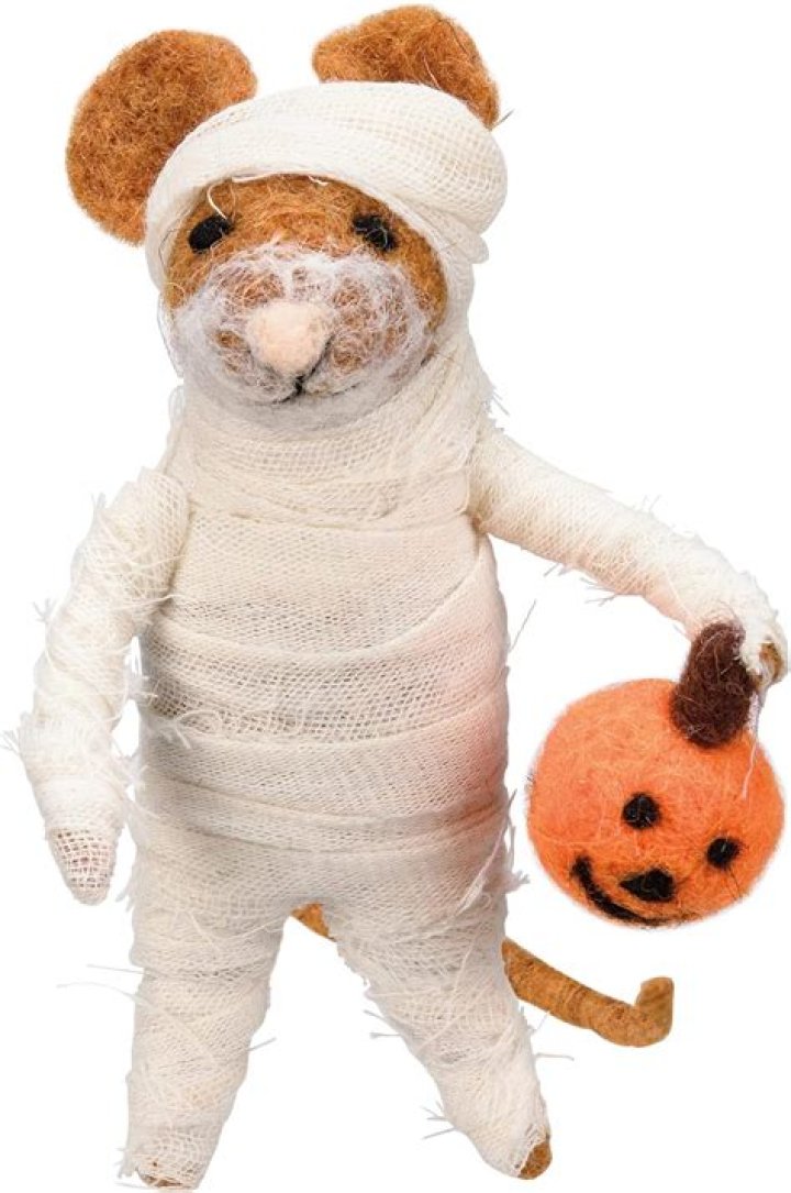 Mouse Mummy
