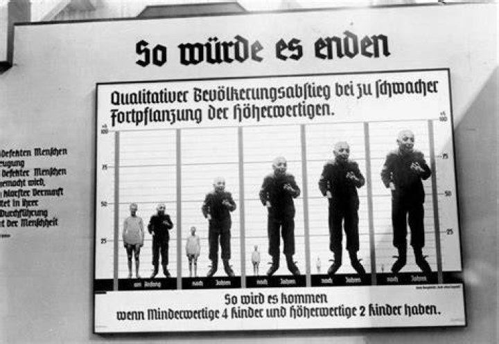 Nazi Eugenics Program