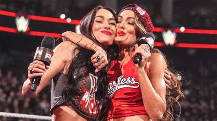 Nikki and Brie Bella Talk About Motherhood and Fertility