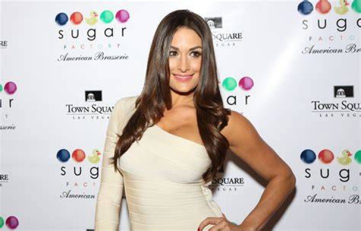Nikki Bella Net Worth 2024: What Is The WWE Star Worth?