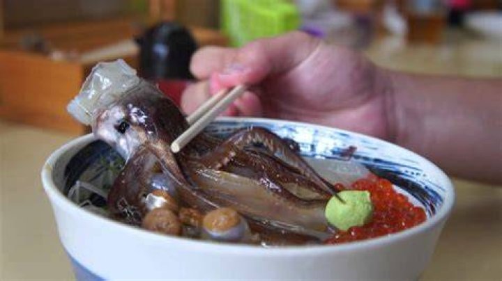 Odori Don