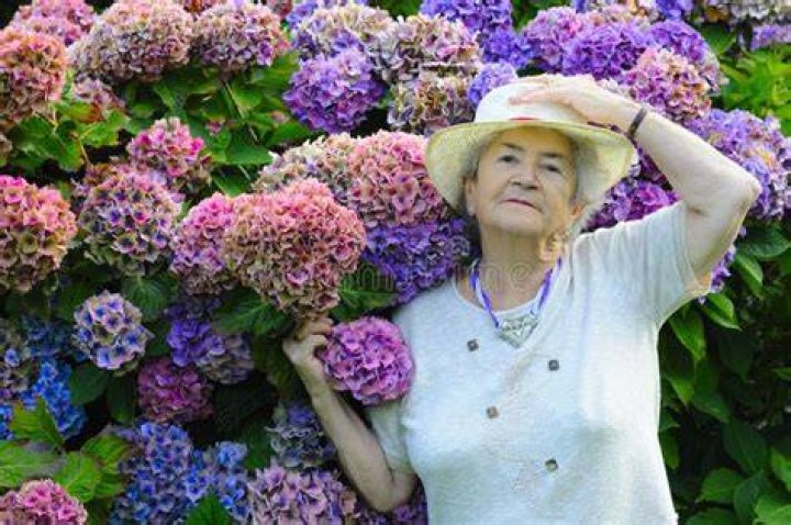 Old Lady Flowers