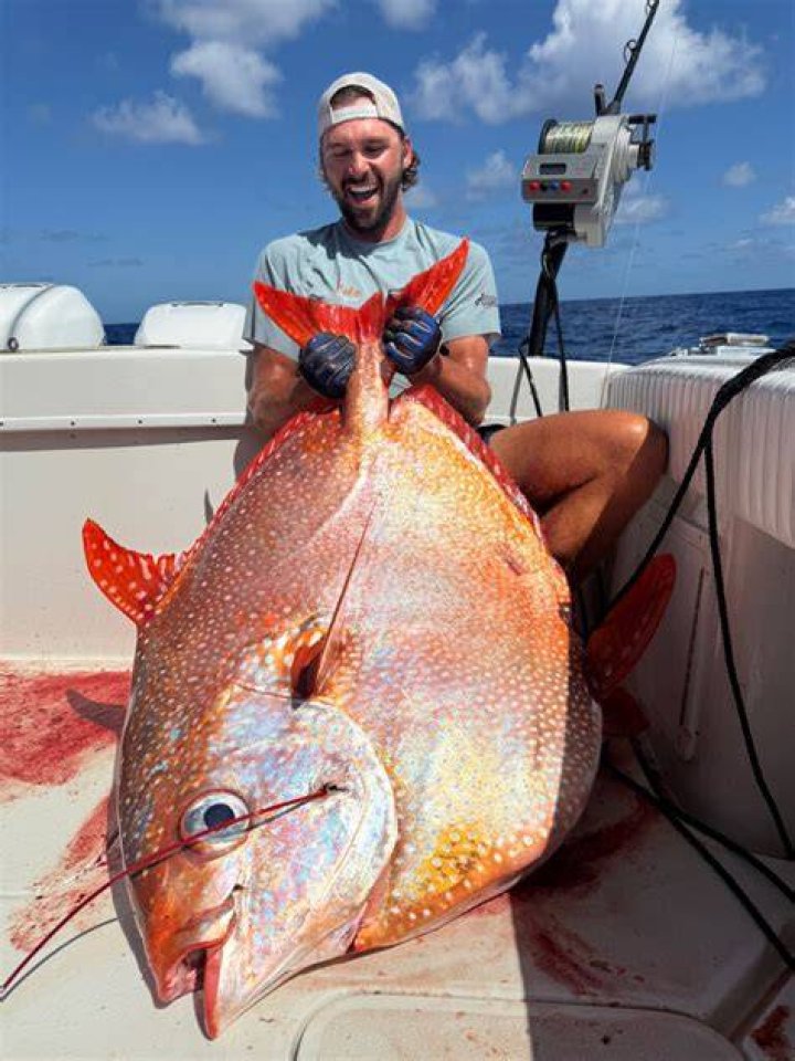 Opah Fish On Boat