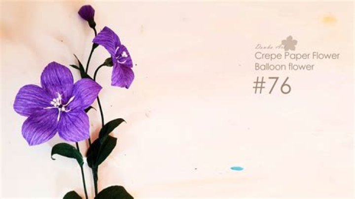 Paper Flower Chapter 76 plot