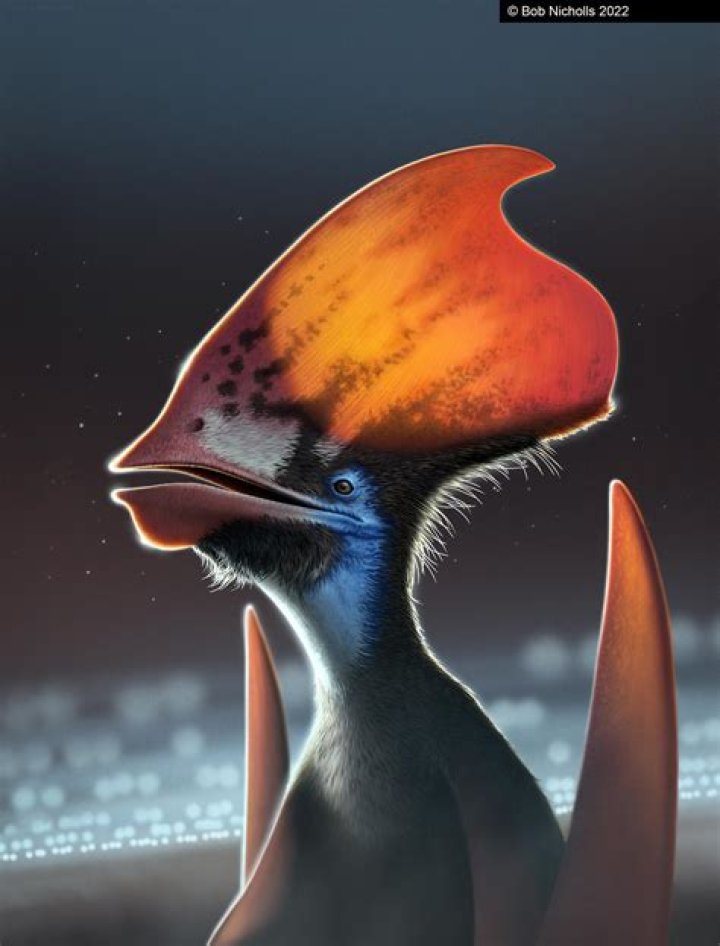 Pterosaur Feather